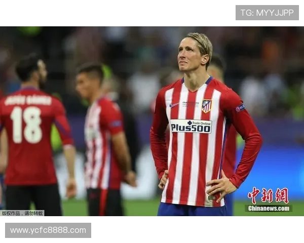 2016欧冠联赛歌曲(dualipa欧冠决赛歌曲)sports